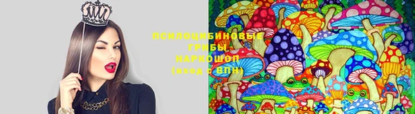 скорость mdpv Новодвинск