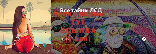 2c-b Новозыбков
